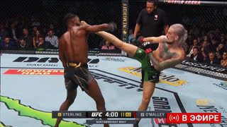НОКАУТ ГОДА?! Полный бой - Стерлинг vs О'Мэлли СМОТРЕТЬ ПРЯМОЙ ЭФИР UFC 292.Трансляция UFC 292. ММА