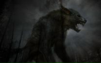 Met Ülker фотография #1