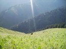 Фотография Марат Ходжабаев