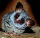 Фотография Исуповой Екатерины