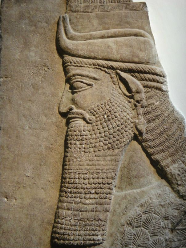 Роберт Консул фотография #16