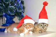 Фотография Жуковой Марины