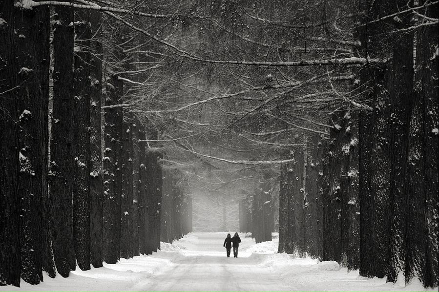 Луч Солнца фотография #9