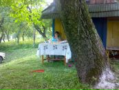 Володимир Матвіїв фотография #33 (источник - https://vk.com/id32324528)