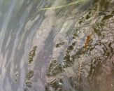 Вован Хемій фотография #23 (источник - https://vk.com/id127788465)