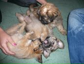 Фотография Частухиной Марины