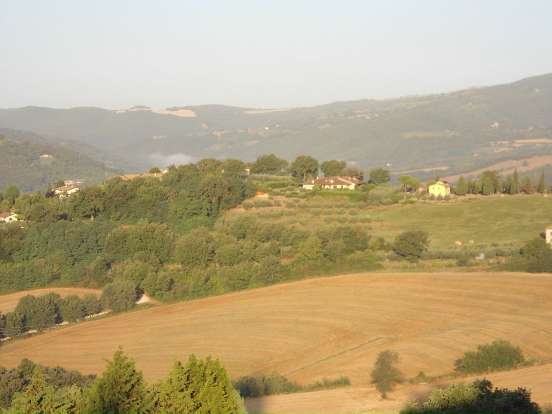 Dmitry Davidenko фотография #34