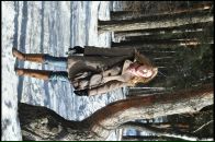 Дарья Козел фотография #49 (источник - https://vk.com/id517013)