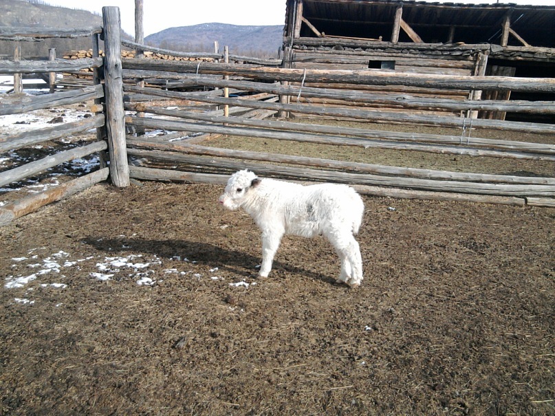 Rain Man фотография #49