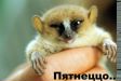  фотография #31