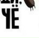 Ігор Скоропадський фотография #37 (источник - https://vk.com/id73726263)