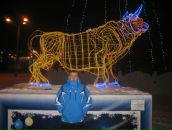 Дмитрий Герасимов фотография #10 (источник - https://vk.com/id217406)