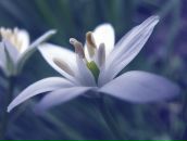 Фотография Бисиковой Катерины