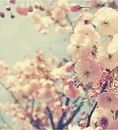 Натали Мельник фотография #1
