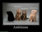 Сергей Hellborn фотография #14 (источник - https://vk.com/id92181447)