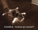 Толік Арендарчук фотография #28 (источник - https://vk.com/id157324326)