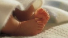 Фотография Шариковой Анастасии