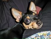 Фотография Кинёва Николая