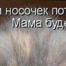 Максим Огороднік фотография #14 (источник - https://vk.com/id145332792)