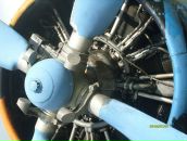 Максим Андрійченко фотография #20 (источник - https://vk.com/id23632673)