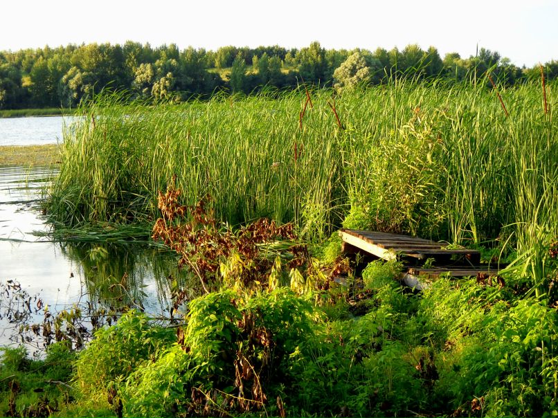 Марина Василенко фотография #38