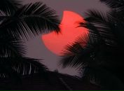 Margo Leitz фотография #24 (источник - https://vk.com/id4959121)