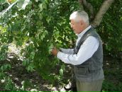 Наталія Янчук фотография #42 (источник - https://vk.com/id63971981)