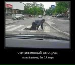 Я @] фотография #14 (источник - https://vk.com/id101189899)