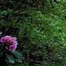 Анна Петрова фотография #37 (источник - https://vk.com/id45188780)