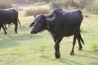 Фотография Чемаревой Марии