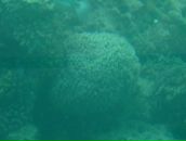 Антон Симаков фотография #43 (источник - https://vk.com/id917581)