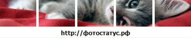 Іванка Місюрак фотография #19 (источник - https://vk.com/id121721011)