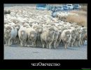 Ольга Вередін фотография #25 (источник - https://vk.com/id120300412)