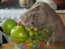 Фотография Тюрина Михаила