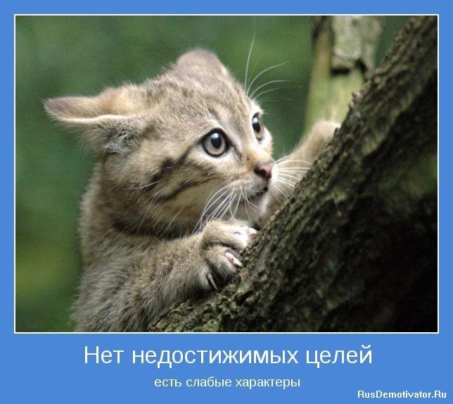 Vadim Tim фотография #23