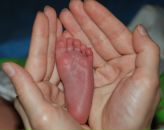 Фотография Шафикова Рината