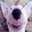 Julia Brick фотография #37 (источник - https://vk.com/id879304)