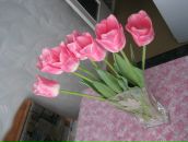 Фотография Пушкиной Анастасии