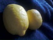 Богдан Вірт фотография #7 (источник - https://vk.com/id99517468)