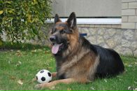 Артём Ант фотография #13 (источник - https://vk.com/id2387886)