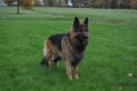 Артём Ант фотография #10 (источник - https://vk.com/id2387886)