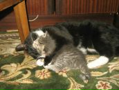 Фотография Алексеевой Ольги