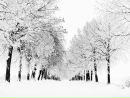 Веронічка Деркач фотография #11 (источник - https://vk.com/id162303066)