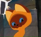 Фотография Chaus Felis