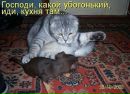 Анна-Марія Демянчук фотография #37 (источник - https://vk.com/id159110373)