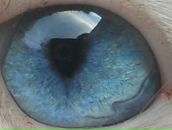 Фотография Мокрецовой Елены