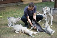 Фотография Афанасьева Павла