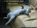 Ольга Селиванова фотография #24 (источник - https://vk.com/id878078)