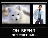 Фотография Янкович Ксюши