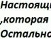 Дмитрий Писарев фотография #49 (источник - https://vk.com/id17475470)